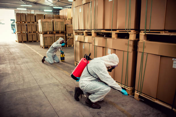 Best Affordable Pest Control Services  in Eureka, IL