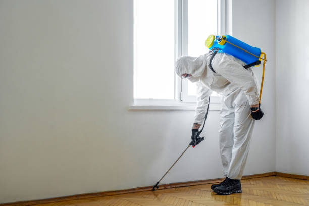 Best Best Pest Control Near Me  in Eureka, IL