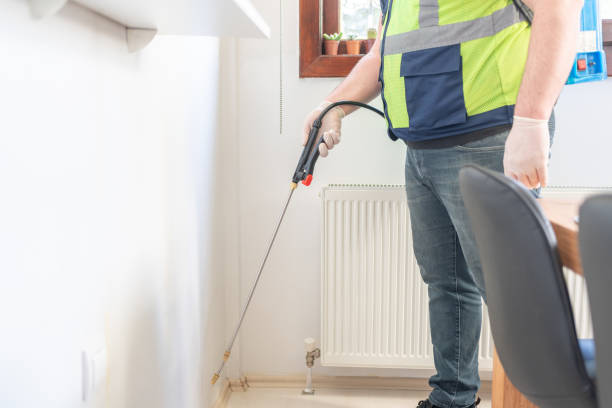 Best Wasp Removal Services  in Eureka, IL