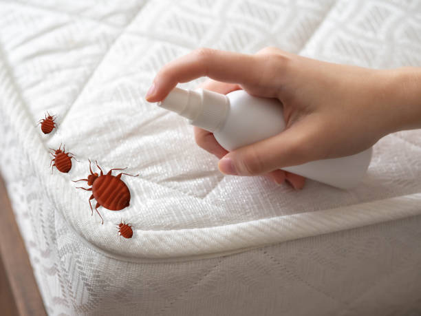 Best Affordable Pest Control Services  in Eureka, IL