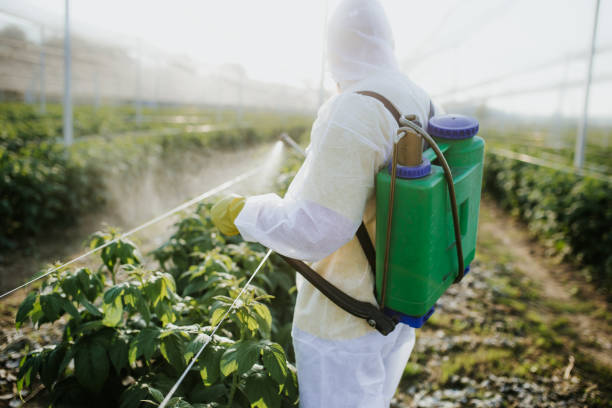 Best Exterminator Services  in Eureka, IL